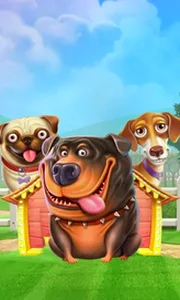 The Dog House